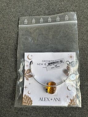 Alex and Ani Silver Bangle with Amber Pumpkin Charm